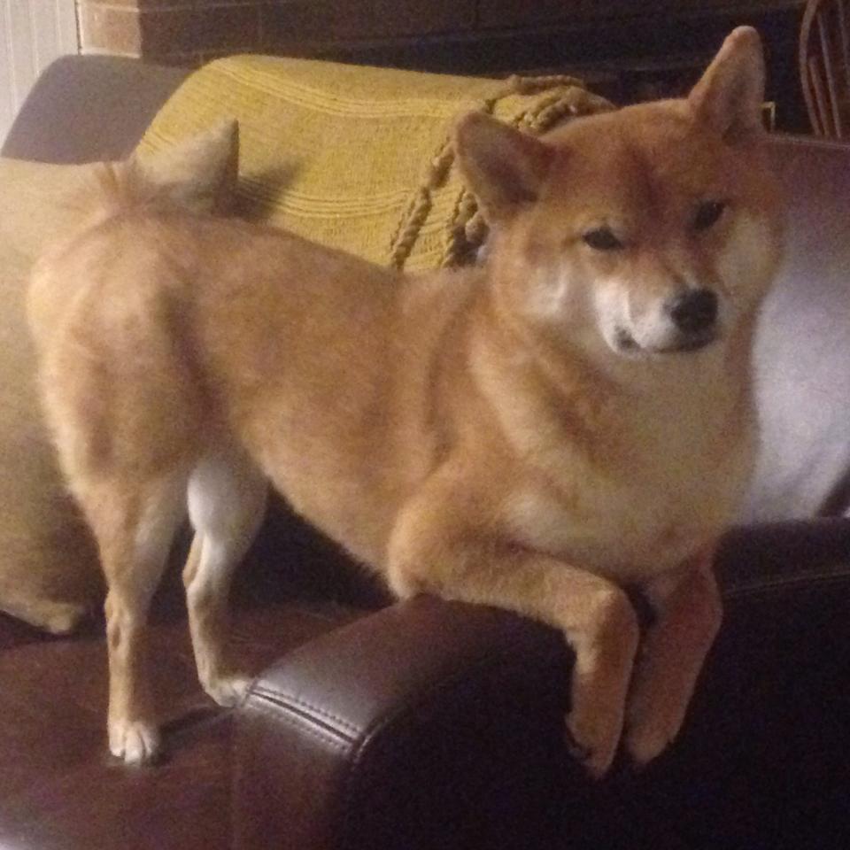 以“体育+文化+旅游”为模式的篮球推广项目落地多城，篮球体育产业